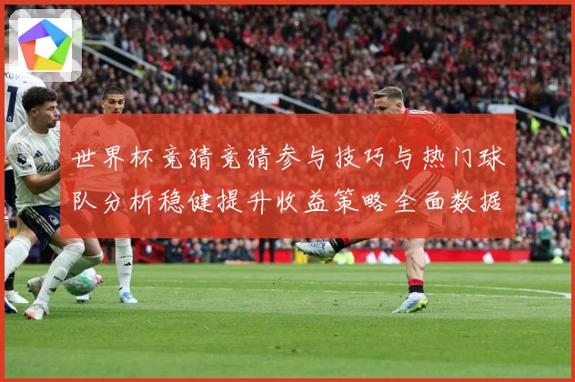 世界杯竞猜竞猜参与技巧与热门球队分析稳健提升收益策略全面数据研判-深度解析