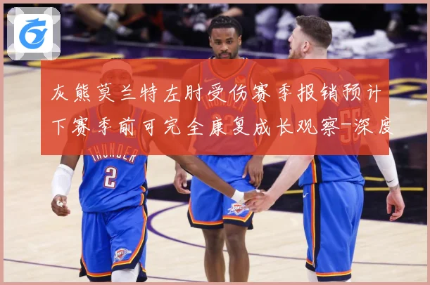 灰熊莫兰特左肘受伤赛季报销预计下赛季前可完全康复成长观察-深度解析