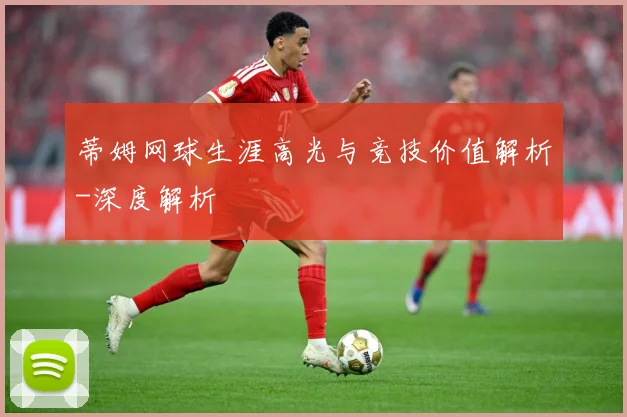 蒂姆网球生涯高光与竞技价值解析-深度解析